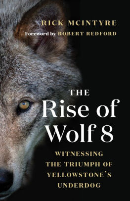 THE RISE OF WOLF 8 - MCINTYRE. RICK